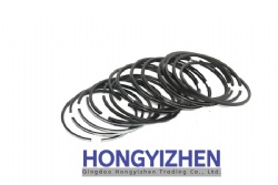 495A-4000/12/13，piston ring set