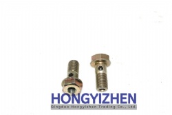 hinge bolt