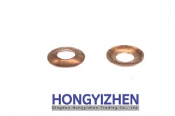 FT250.37.199，Gasket