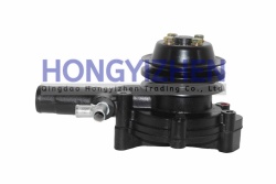 4L22BT-06103,Water Pump,laidong