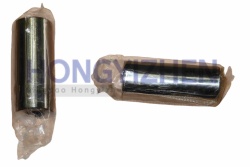LL480-04004 Piston Pins laidong