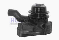 Water pump 495TA2 qingjiang