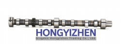 495B-06001，Camshaft