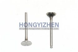 Exhaust Valve,T3142A051,tractor parts,lovol